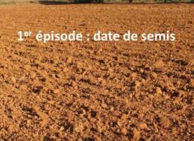 Vidéo 01 - Campagne 2020-2021