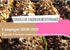 Vidéo 03 - Campagne 2020-2021