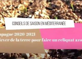 Vidéo 04 - Campagne 2020-2021