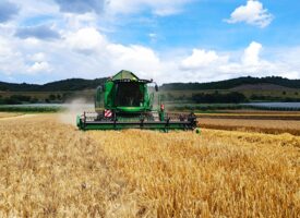 Bulletin n°22 - Campagne 2024-2025