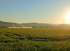 Bulletin n°11 - Campagne 2025-2026