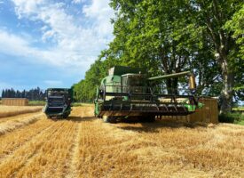 Bulletin n°13 - Campagne 2025-2026