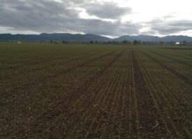 Bulletin n°01 - Campagne 2026-2027